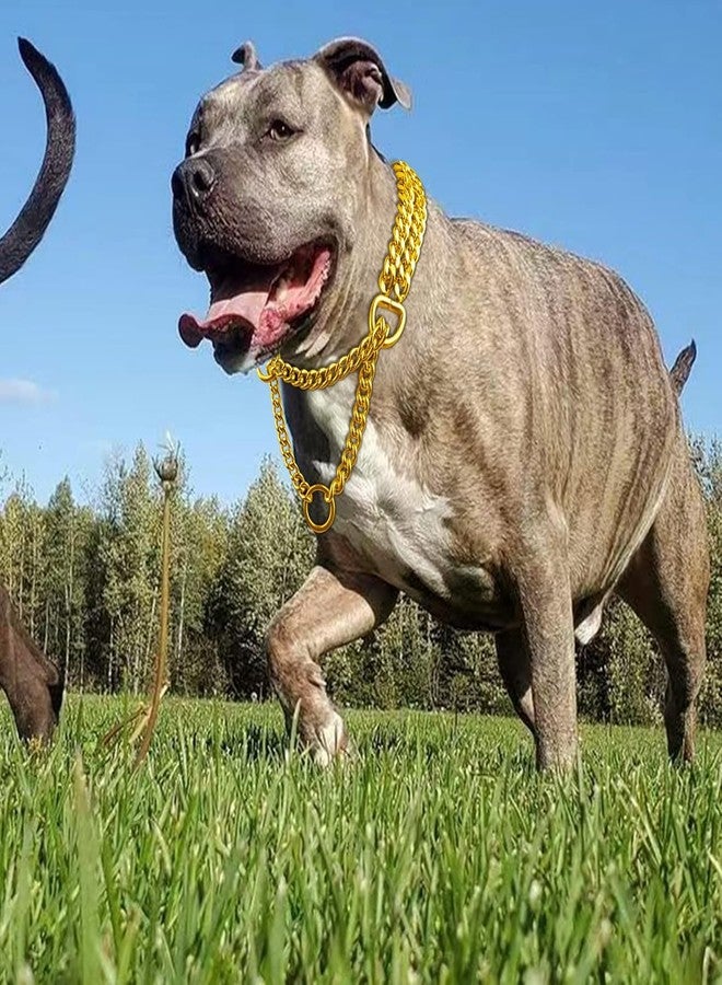 RoverPets Golden Stainless Steel 2-Layer Choke Chain Collar for Dogs | 24-Inch Martingale Training Collar for Medium & Large Breeds - Image 2